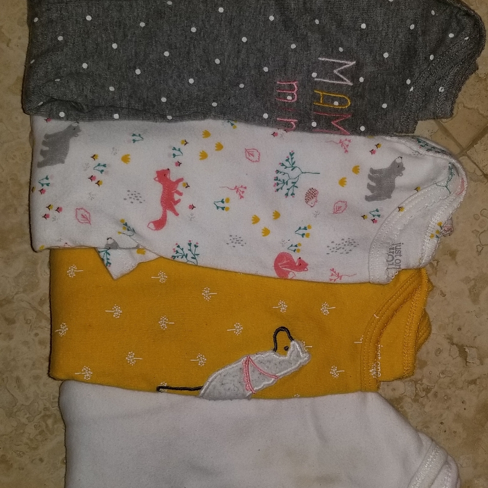 Baby Girl Long Sleeve Onesies